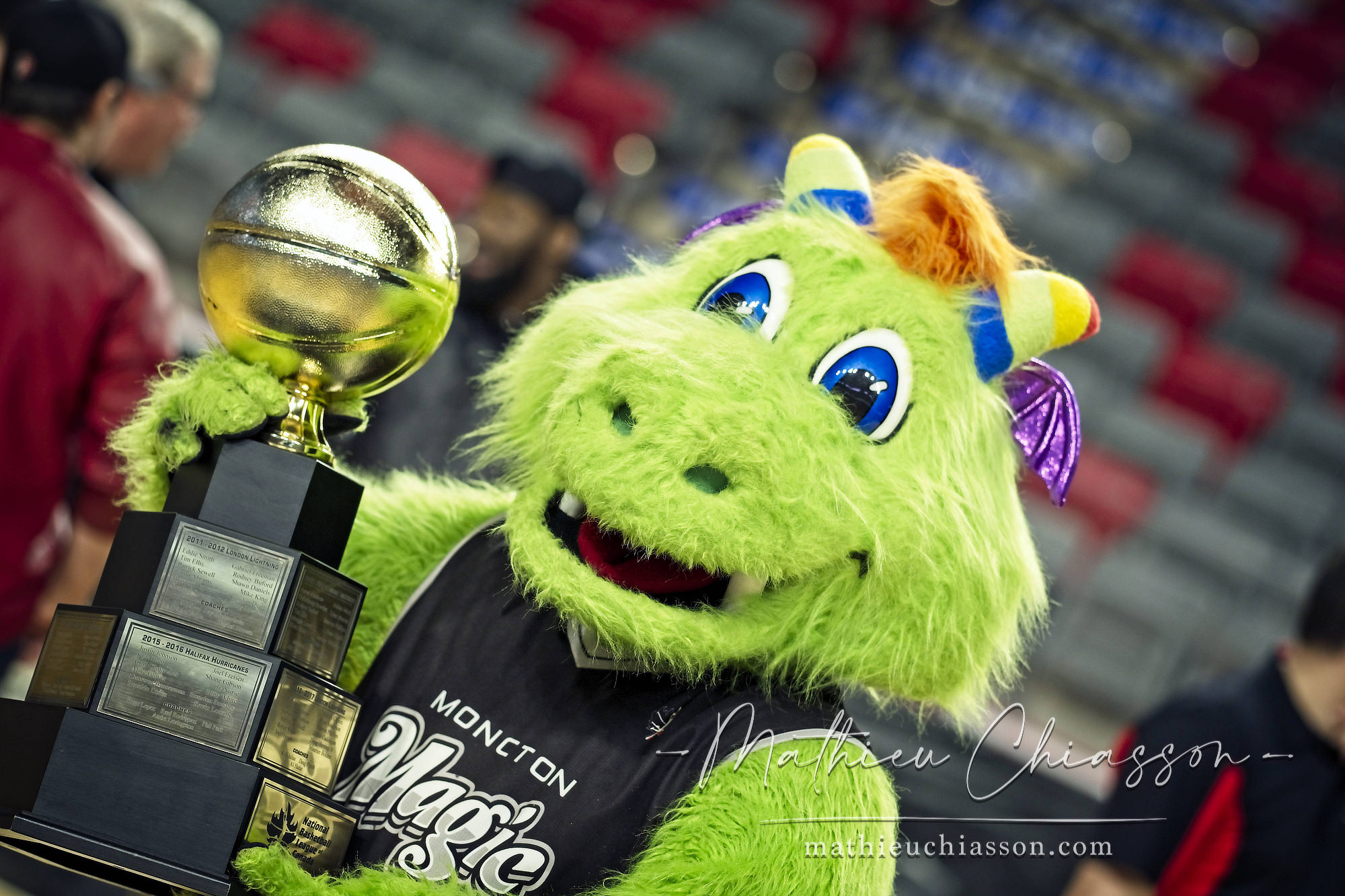 Photo by Mathieu Chiasson