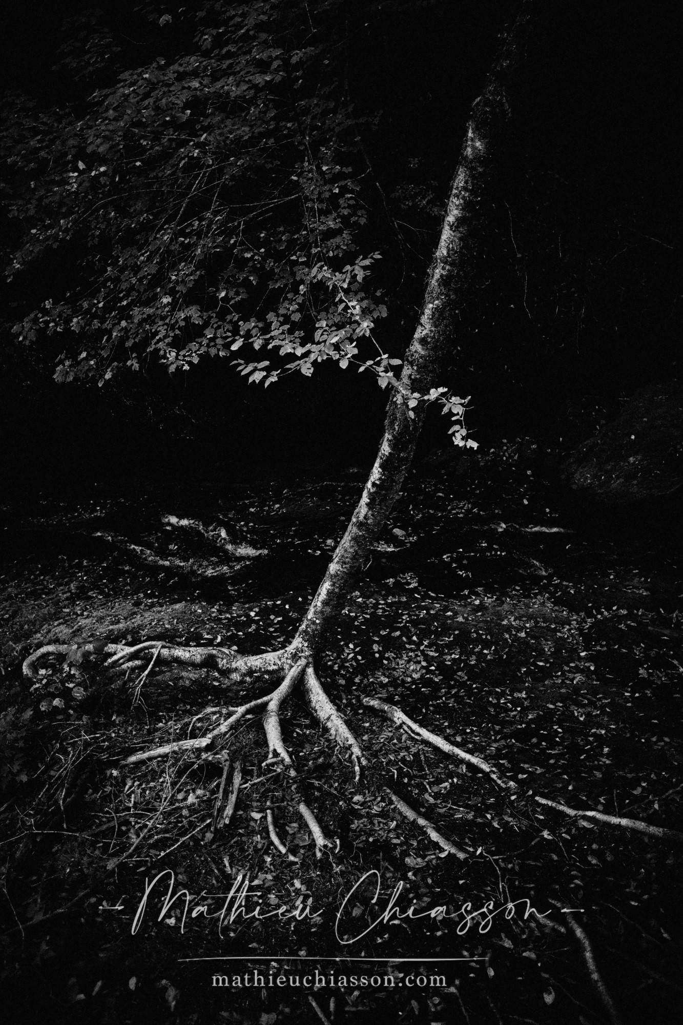 Photo by Mathieu Chiasson