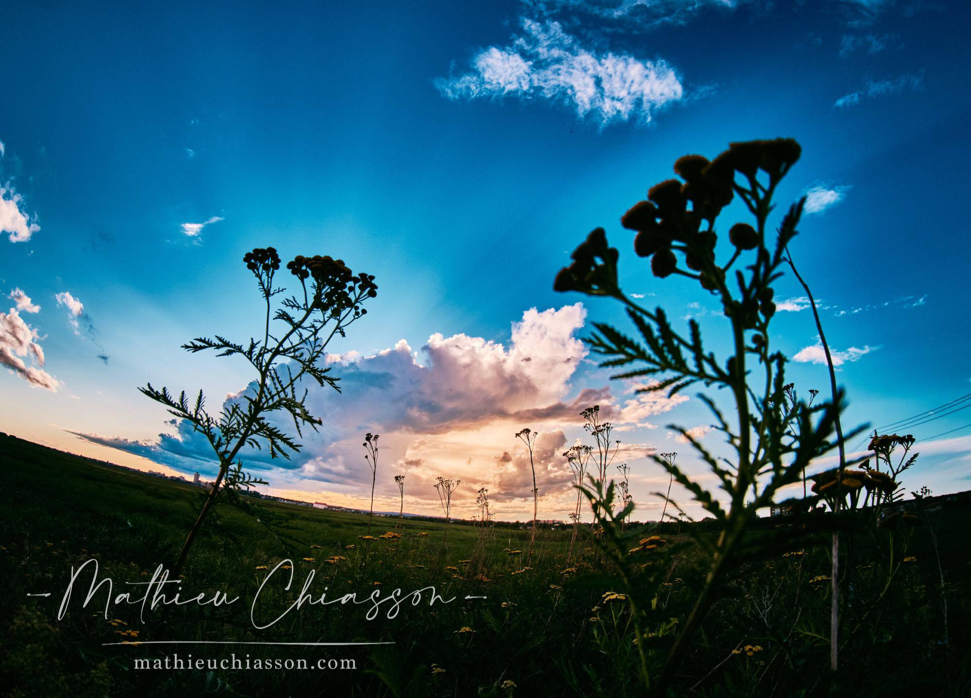 Photo by Mathieu Chiasson